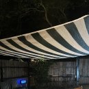 서광이지 이미지