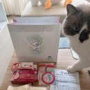 남구보건소 5층 | 광주 남구보건소 임산부등록 선물 + 차량스티커, 백일해무료접종, 무료산전검사