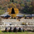 타이어마을 이미지