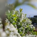 충효예공원 이미지