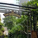 테라피 요가B | 발리 우붓 The yoga barn 요가반 요가 프로그램, 가격, 후기 총정리 (내돈내산)