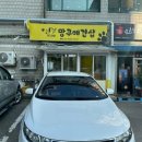 망쿠애견샵 이미지
