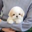 송이로14길 이미지