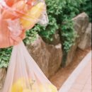오토렉스 | 사진 실력이 없는 줄 알았는데 알고보니 노출계 고장이었다는 세계