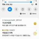 신선회마차