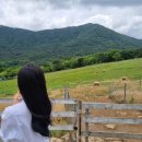 화순목장 이미지