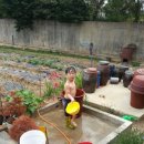 준우농장 이미지