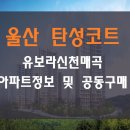 중로1-93~중로1-87 주변 | 울산탄성코트 유보라신천매곡 아파트정보 및 공동구매