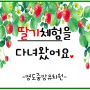 영도중앙유치원 이미지