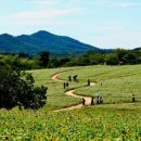 협심농장 이미지