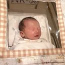 더블유 산후조리원 이미지