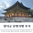 창덕궁 달빛기행 예매와 취소표 예약 방법 및 후기