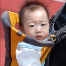 신정3어린이집 이미지