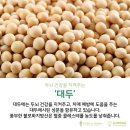 하이풀 스포츠 이미지