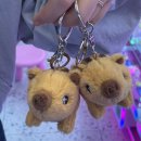 버크빙 | 2025.06.01~30