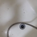 월포동010 이미지