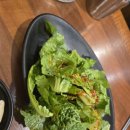 불타는갈매기 이미지