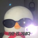 도연세차장 | 운전도... 기세다...