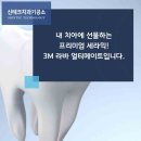 세련치과기공소 이미지