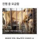 해피빈 펀딩 프로젝트 개설 신청을 해놓고 승인을 기다리는 마음. 이미지