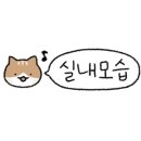 그릴드패티 이미지