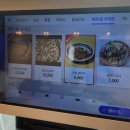 이태리반점 | 목포여행 크림짬뽕 맛집 이태리 반점 주차장 위치 메뉴리뷰