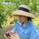 손별농장 이미지