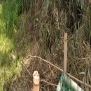 영관농장 이미지