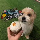 더맛있개 이미지