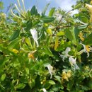 평암보건진료소 이미지