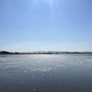 수레카 | 사천 케이블카 자연휴양림 5번 사이트