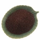 자라는 씨앗 이미지