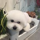 웨그앤코 이미지