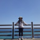 동해안모텔 | [강원도/속초]해파랑길 45코스와 눈부신 에메랄드빛 바다
