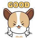 세이프존프리미엄샴프클리닉