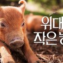 주안농장 이미지