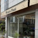 대전식물가게: 피크닉 스플랜트 감성무드 가득한 화분 집들이 선물로 추천!