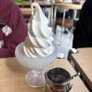 정동농장 | 세종 정동체험마을 정동카페 아이들과 가기 좋은 동물체험 카페 후기