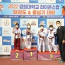 라이온스태권도 이미지