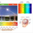 용호프라자 이미지