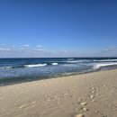 957 | [D+957 로또이야기] 양 맘마 주러 가요. _ft.평창라마다/대관령 양떼목장