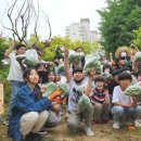 두마초등학교 이미지