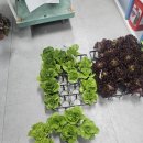 부자농약사 이미지