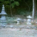 순천 나무숲 이미지