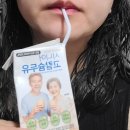 주식회사 초이스 | 시니어초이스 시니어 고칼슘두유 국산검은콩 서리태 솔직 후기 고소함과 영양 균형까지
