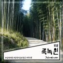 전동휠체어119 | 담양가볼만한곳 울창한 대나무숲 볼 수 있는 죽녹원 feat. 휠체어 후기