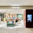 모이모이 이미지