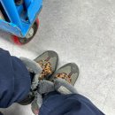 오브제성형외과의원 이미지