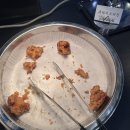 365라피에스타약국 | 인천 논현 맛집 샤브샤브 뷔페 샤브플란트 메가박스 라피에스타