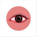 으뜸플러스안경일산 - 고양시 일산서구 강성로 121 | 으뜸플러스안경일산